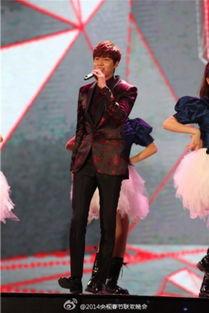 李敏镐春晚情非得已视频,李敏镐深情演绎情非得已